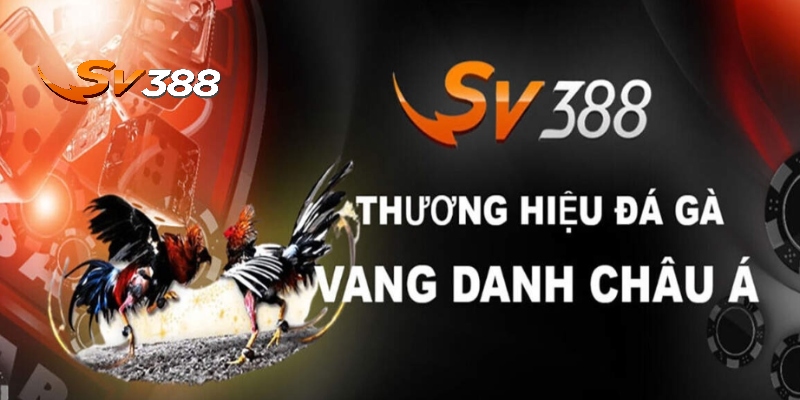 SV388 - Nhà Cái Cá Cược Đá Gà Online Vang Danh Châu Á